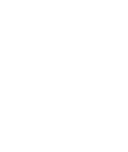 Budweiser