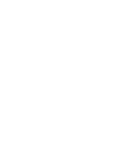 LEGO Toys